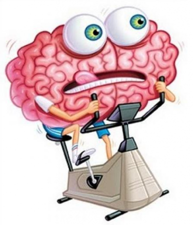 Cerebro entrenando..